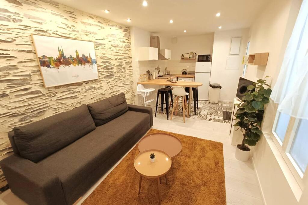 Douceurs Angevine Apartment Angers Exterior foto